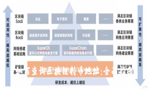 如何查询区块链持币地址：全面指南
