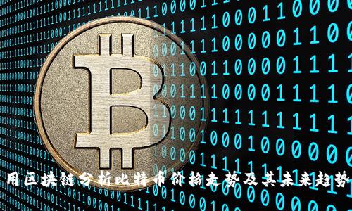 用区块链分析比特币价格走势及其未来趋势