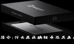  区块链币简介：什么是区