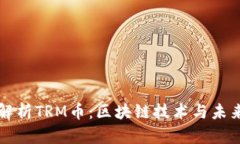 全面解析TRM币：区块链技