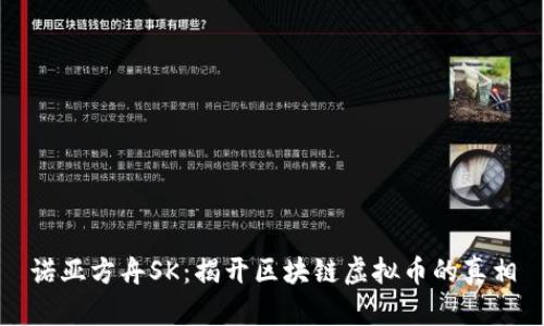 诺亚方舟SK：揭开区块链虚拟币的真相