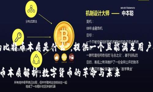 关于“区块链中的比特币本质是什么”，提供一个且能满足用户搜索需求的如下：

区块链中的比特币本质解析：数字货币的革命与未来