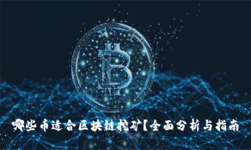 哪些币适合区块链挖矿？全面分析与指南