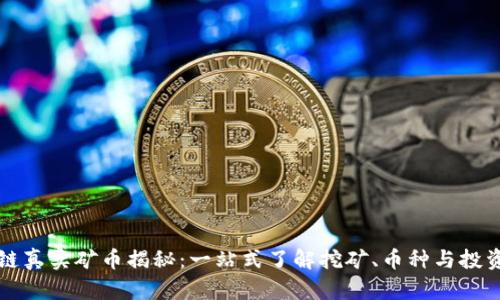 区块链真实矿币揭秘：一站式了解挖矿、币种与投资策略