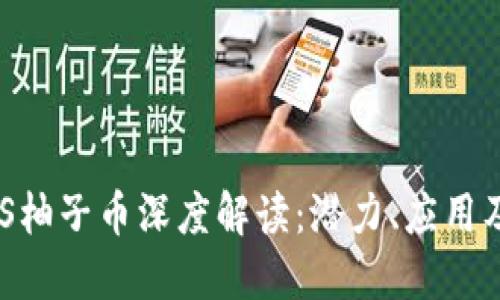 区块链EOS柚子币深度解读：潜力、应用及未来发展