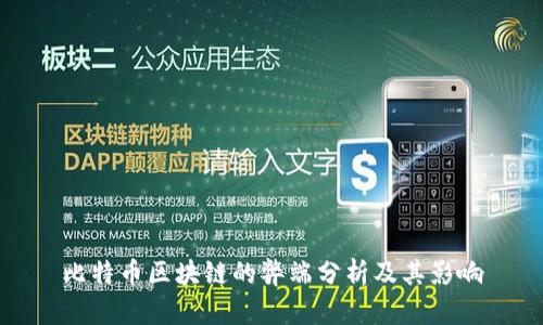 比特币区块链的弊端分析及其影响