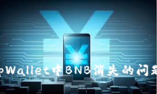 如何解决tpWallet中BNB消失的问题：详尽指南