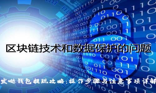 发哒钱包提现攻略：操作步骤与注意事项详解