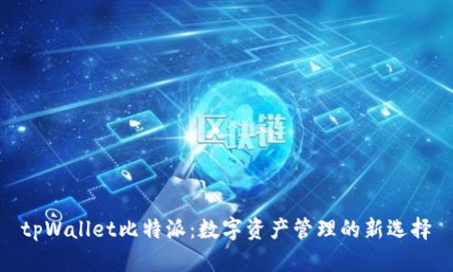 tpWallet比特派：数字资产管理的新选择