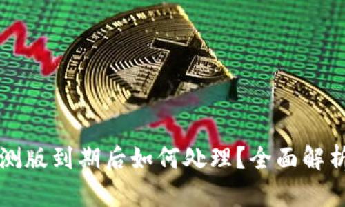 tpWallet内测版到期后如何处理？全面解析与解决方案