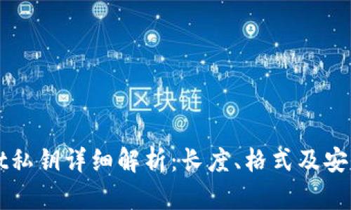 tpWallet私钥详细解析：长度、格式及安全性分析