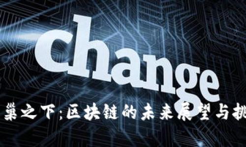 币圈覆巢之下：区块链的未来展望与挑战分析