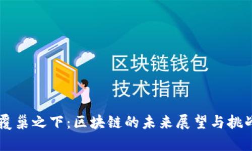 币圈覆巢之下：区块链的未来展望与挑战分析
