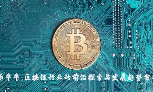 币牛牛：区块链行业的前沿探索与发展趋势分析