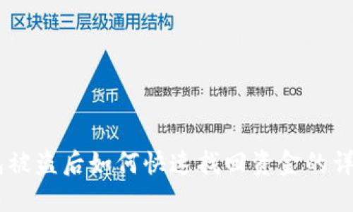 IM钱包被盗后如何快速找回资金的详细指南