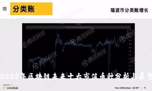 2023年区块链未来十大市值币种分析与展望