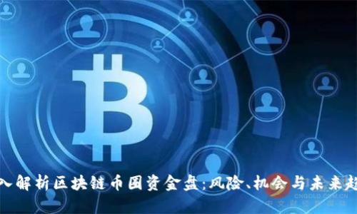深入解析区块链币圈资金盘：风险、机会与未来趋势