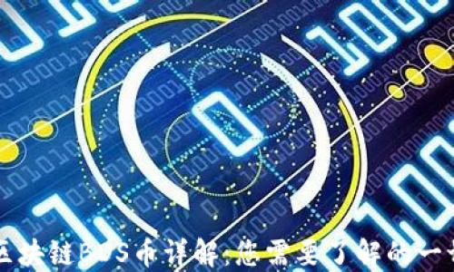 
区块链BDS币详解：您需要了解的一切