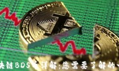 区块链BDS币详解：您需要