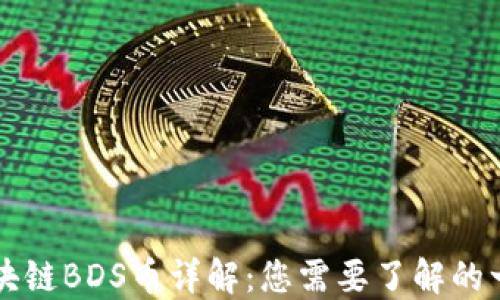 
区块链BDS币详解：您需要了解的一切