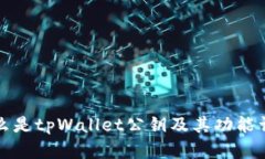 什么是tpWallet公钥及其功能