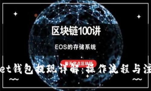tpWallet钱包提现详解：操作流程与注意事项