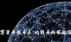 区块链数字货币的币王：比特币的崛起与未来趋