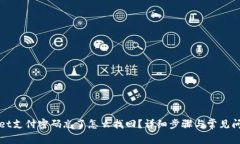 tpWallet支付密码忘了怎么找