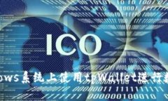 如何在Windows系统上使用