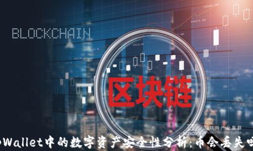 
tpWallet中的数字资产安全性分析：币会丢失吗？