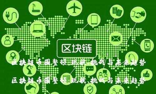 区块链币圈整顿：现状、挑战与未来趋势

区块链币圈整顿：现状、挑战与未来趋势