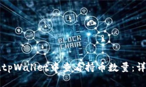 如何在tpWallet中查看持币数量：详细指南