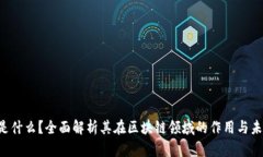 FPS币是什么？全面解析其