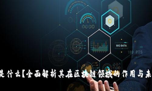 FPS币是什么？全面解析其在区块链领域的作用与未来发展