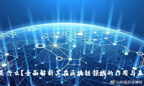 FPS币是什么？全面解析其在区块链领域的作用与未来发展