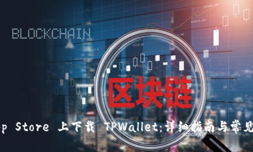 如何在App Store 上下载 TPWallet：详细指南与常见问题解答
