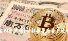 tpWallet报警能追回资产吗？