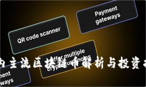 国内主流区块链币解析与投资指南