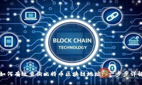 如何有效查询比特币区块链地址: 一步步详解