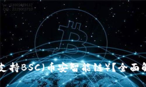 tpWallet是否支持BSC（币安智能链）？全面解析与使用指南
