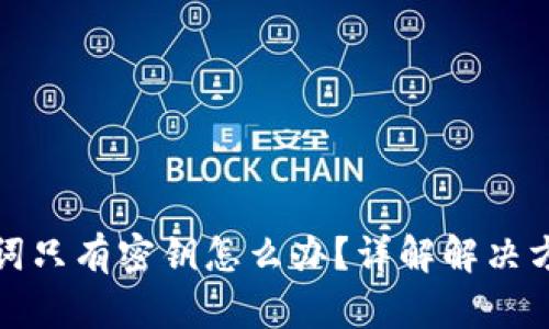 钱包没有助记词只有密钥怎么办？详解解决方案与安全措施