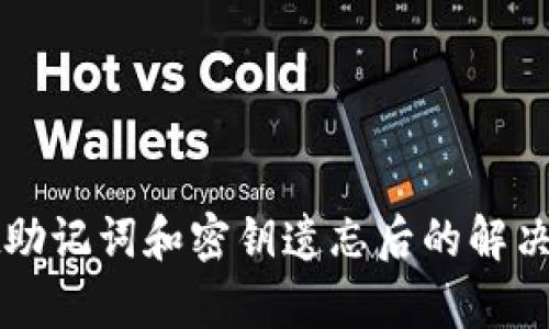 tpWallet助记词和密钥遗忘后的解决方案详解