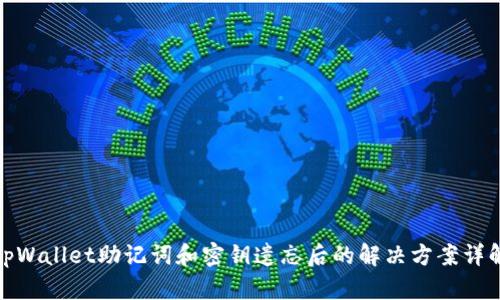 tpWallet助记词和密钥遗忘后的解决方案详解