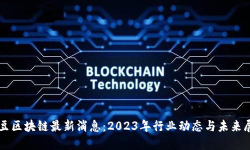 智豆区块链最新消息：2023年行业动态与未来展望