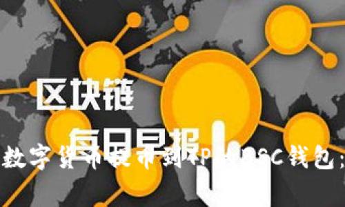 如何将火币交易所的数字货币提币到TP的BSC钱包：详细步骤与注意事项