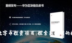 区块链数字币投资项目：