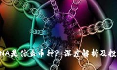 区块链中BNA是什么币种? 深度解析及投资价值分析
