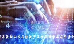 2023年最新山东区块链产品全面目录与应用案例分