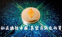 揭秘区块链币圈：真实与混乱的背后