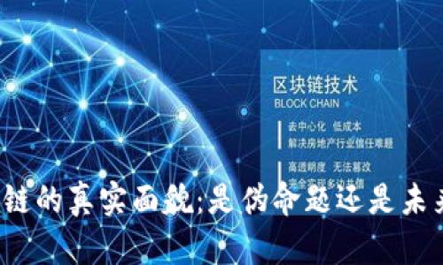 无币区块链的真实面貌：是伪命题还是未来的趋势？